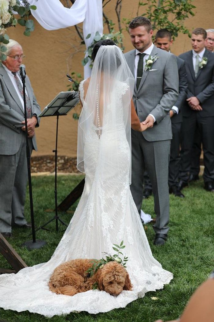 Instagram-Worthy Ways to Include Your Dog in the Wedding